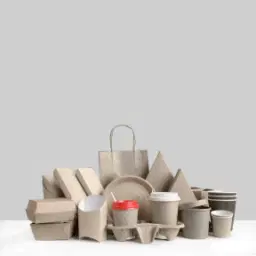 Packaging Industry