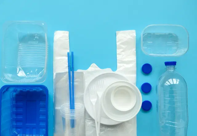 Investment Analysis for Multi-Format Packaging Solutions - Case Study