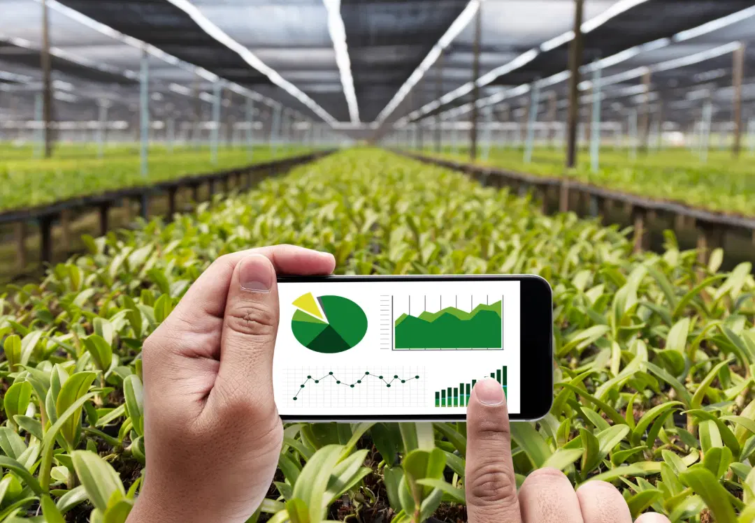 Strategic Opportunity Mapping to Unlock Growth Pathways for a Tech-Enabled Agri-Logistics Platform - Case Study