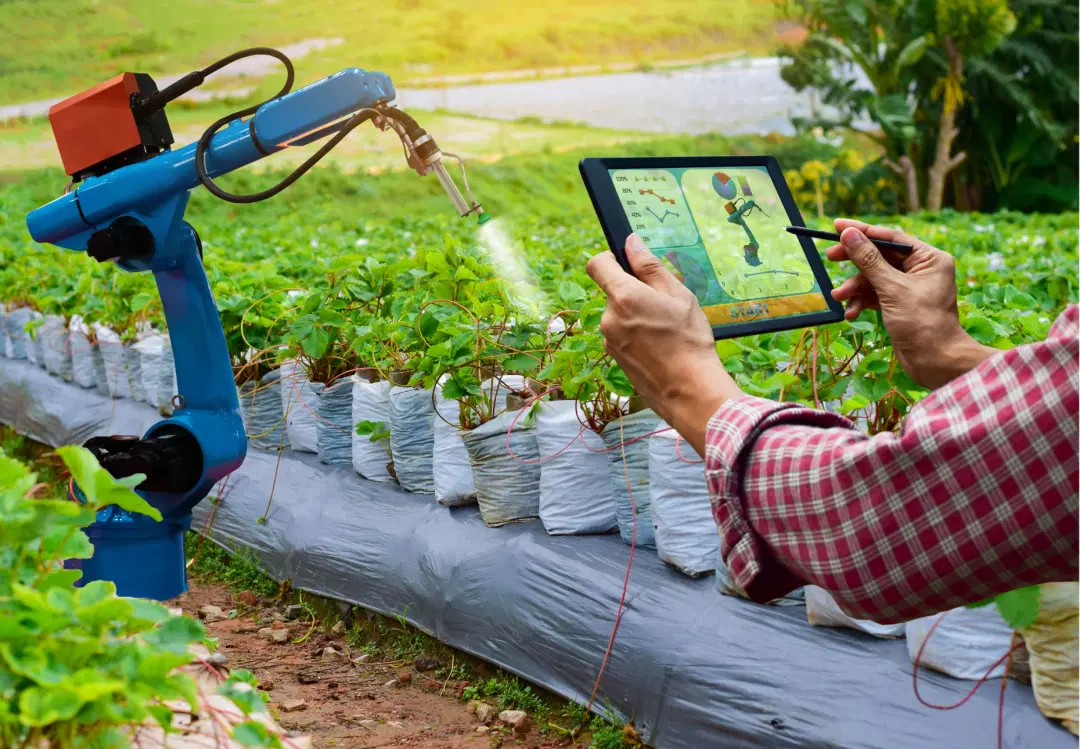 Global Innovation Mapping for Recalibrating R&D Focus in Agri-Biotech - Case Study