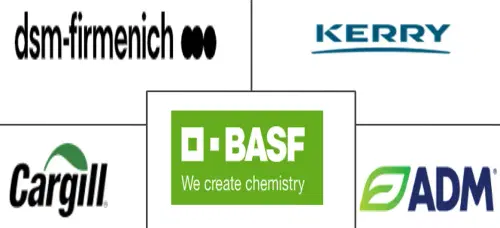 Middle East Protein Market Major Players