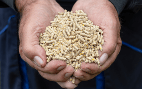 FEED ADDITIVE FEED ADDITIVE